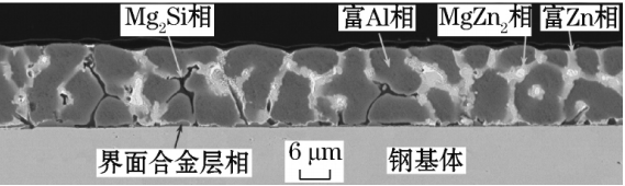“高鋁”鋅鋁鎂鍍層截面金相